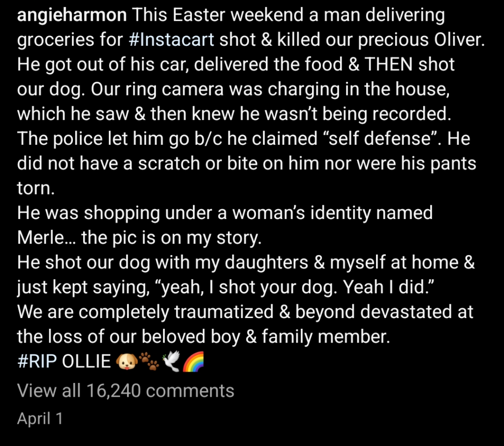 A dark mode screenshot of an Instagram caption by Angie Harmon. On April 1, she publicly accused an Instacart delivery driver of shooting and killing her beloved dog, Oliver.