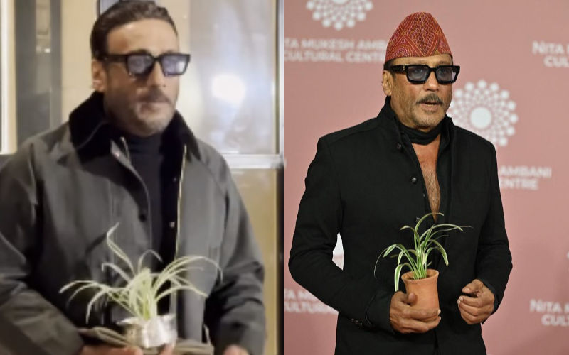 WHAT! Jackie Shroff Carries A Spider Plant At Almost Every Event; Netizen  Says 'Ye Aadmi Akela Global Warming Reverse Karega'