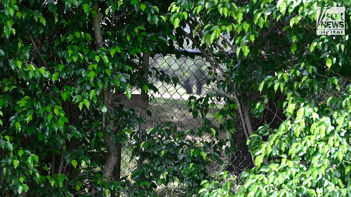 An exterior view of a gap in vegetation along the perimeter of Trump International Golf Club