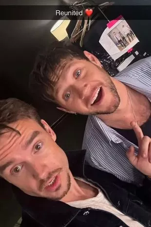 Liam Payne and Niall Horan